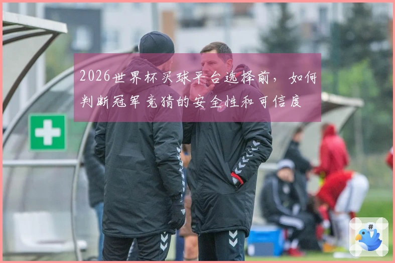 2026世界杯买球平台选择前，如何判断冠军竞猜的安全性和可信度