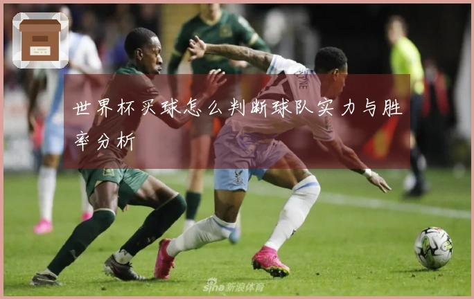 世界杯买球怎么判断球队实力与胜率分析