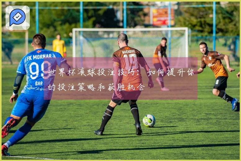 世界杯滚球投注技巧：如何提升你的投注策略和获胜机会