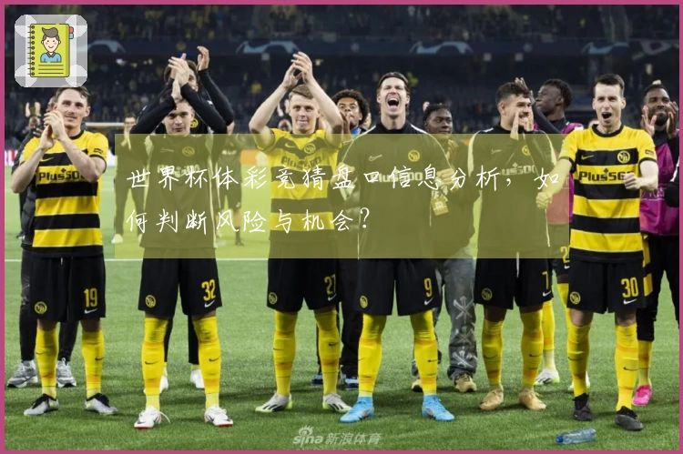 世界杯体彩竞猜盘口信息分析，如何判断风险与机会？