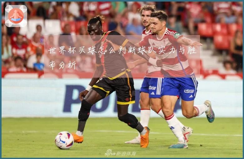 世界杯买球怎么判断球队实力与胜率分析